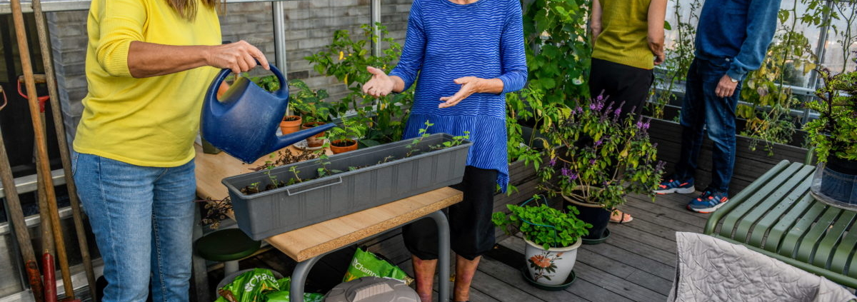 Bilden överst visar växthuset i det nybyggda Kamelia Hus vid Gröntorvet i Valby, ett av 11 pilotprojekt med stöd av Realdania.